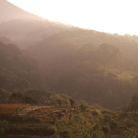 Pondok Kebun Gunung Bedugul  Luaran gambar
